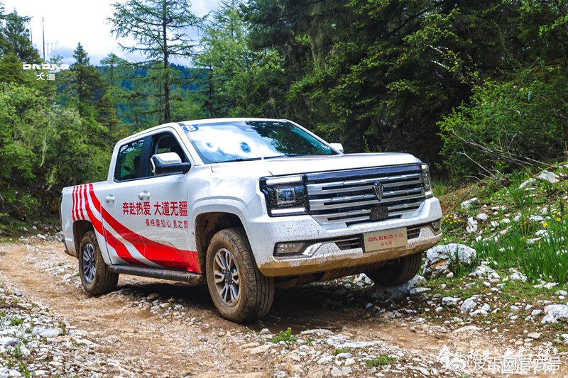 450牛·米以上 国产大扭矩柴油皮卡推荐