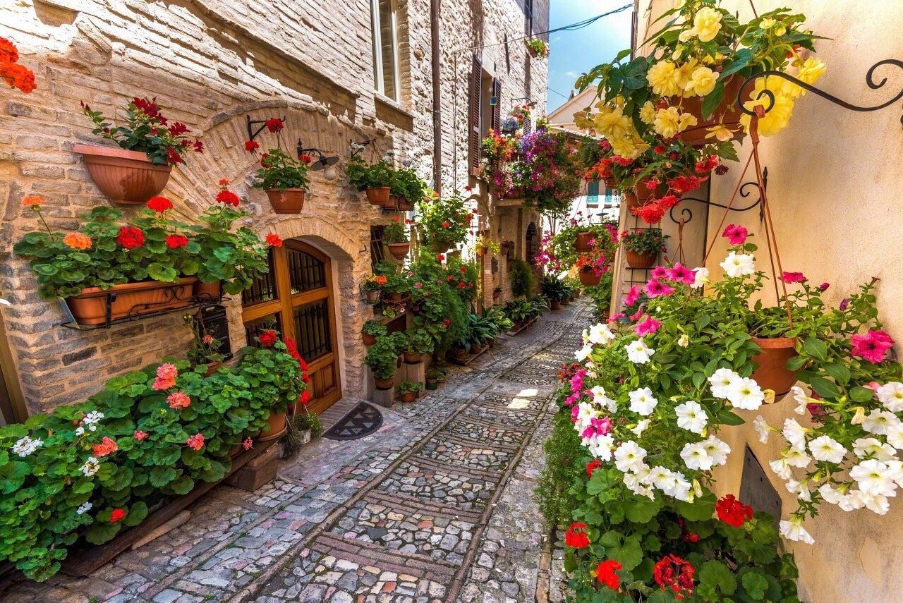 意大利鲜花小镇斯佩罗，一个温柔鲜花与坚硬磐石相碰撞的地方。