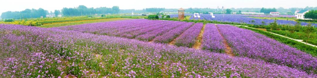 “一墩难求”?济南这对硕大号“冰墩墩”、“雪容融”火了!更火了这个物华天宝的打卡地!休闲区蓝鸢梦想 - Www.slyday.coM “一墩难求”?济南这对硕大号“冰墩墩”、“雪容融”火了!更火了这个物华天宝的打卡地!休闲区蓝鸢梦想 - Www.slyday.coM