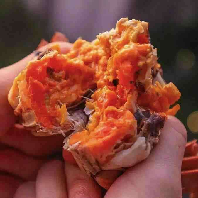 秋分吃什么传统食物?8种传统食物不要错过休闲区蓝鸢梦想 - Www.slyday.coM 秋分吃什么传统食物?8种传统食物不要错过休闲区蓝鸢梦想 - Www.slyday.coM