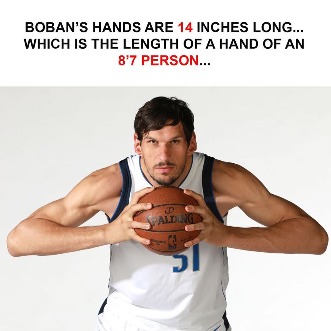 nba历史上最大尺寸的手,来自博班-马扬诺维奇.
