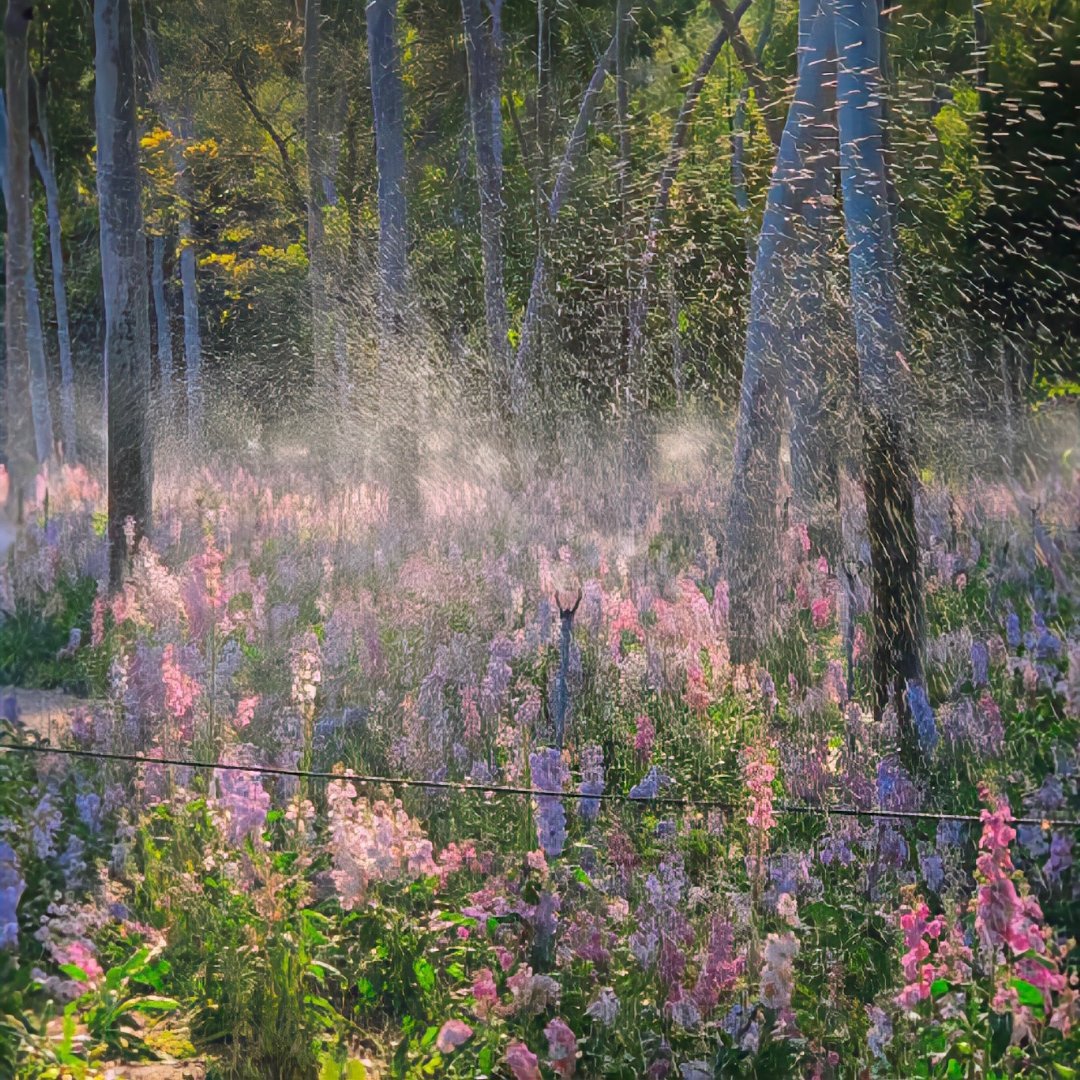 来领取春天氛围感背景图