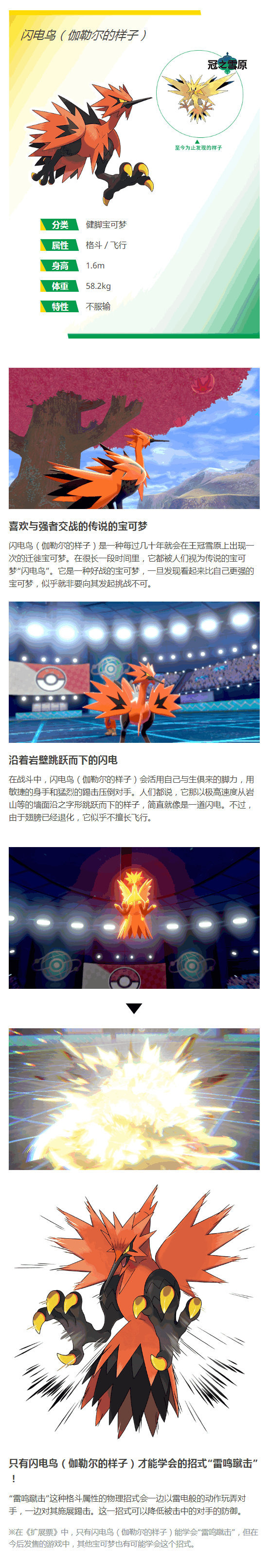伽勒尔形态的三神鸟:急冻鸟、闪电鸟、火焰鸟,以及憨憨宝可梦
