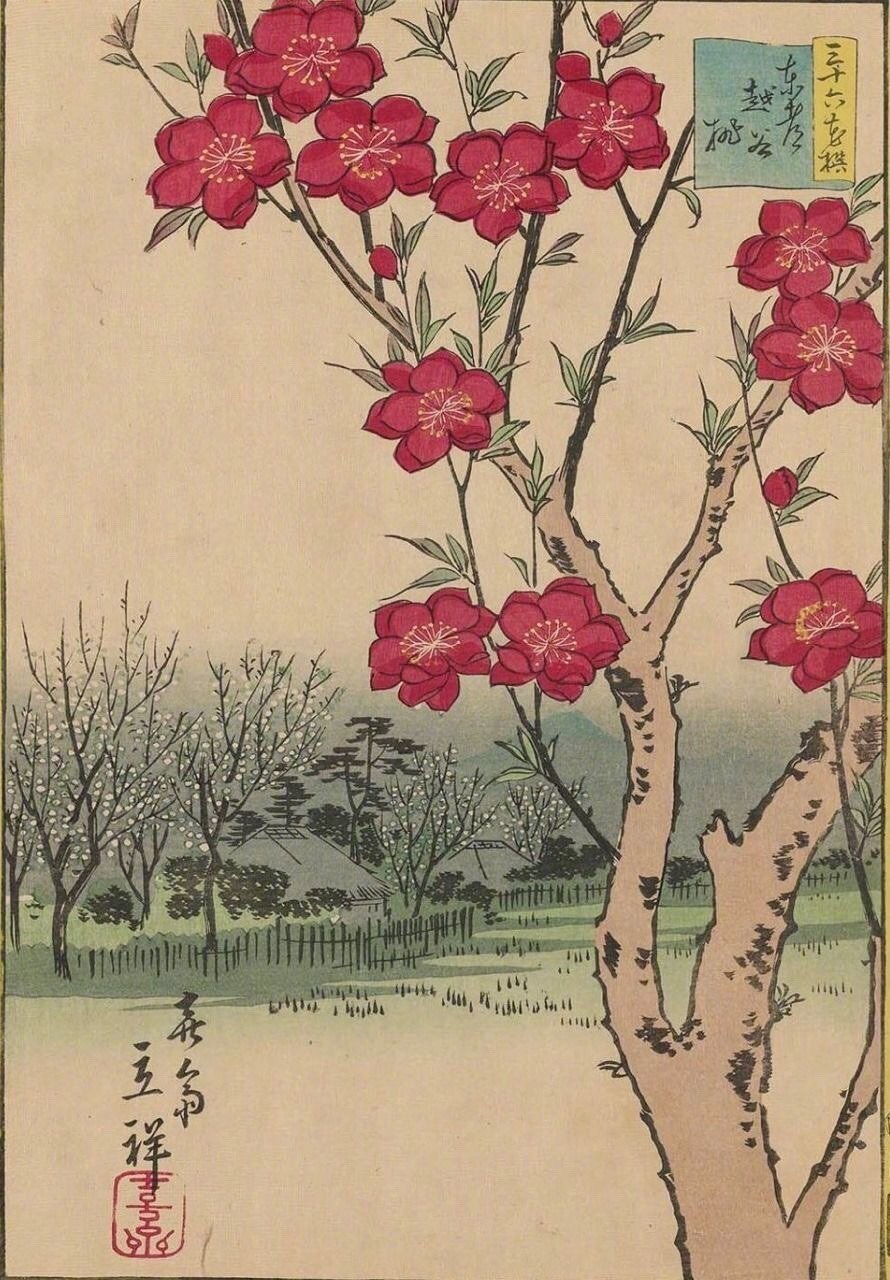 花鸟版画 | utagawa hiroshige