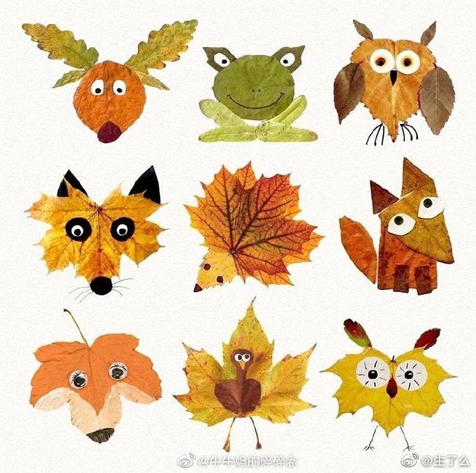 树叶画大全今天一定要玩起来