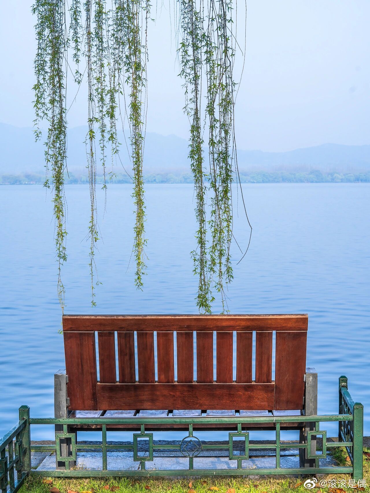 杭州西湖畔的杨柳不负江南不负春