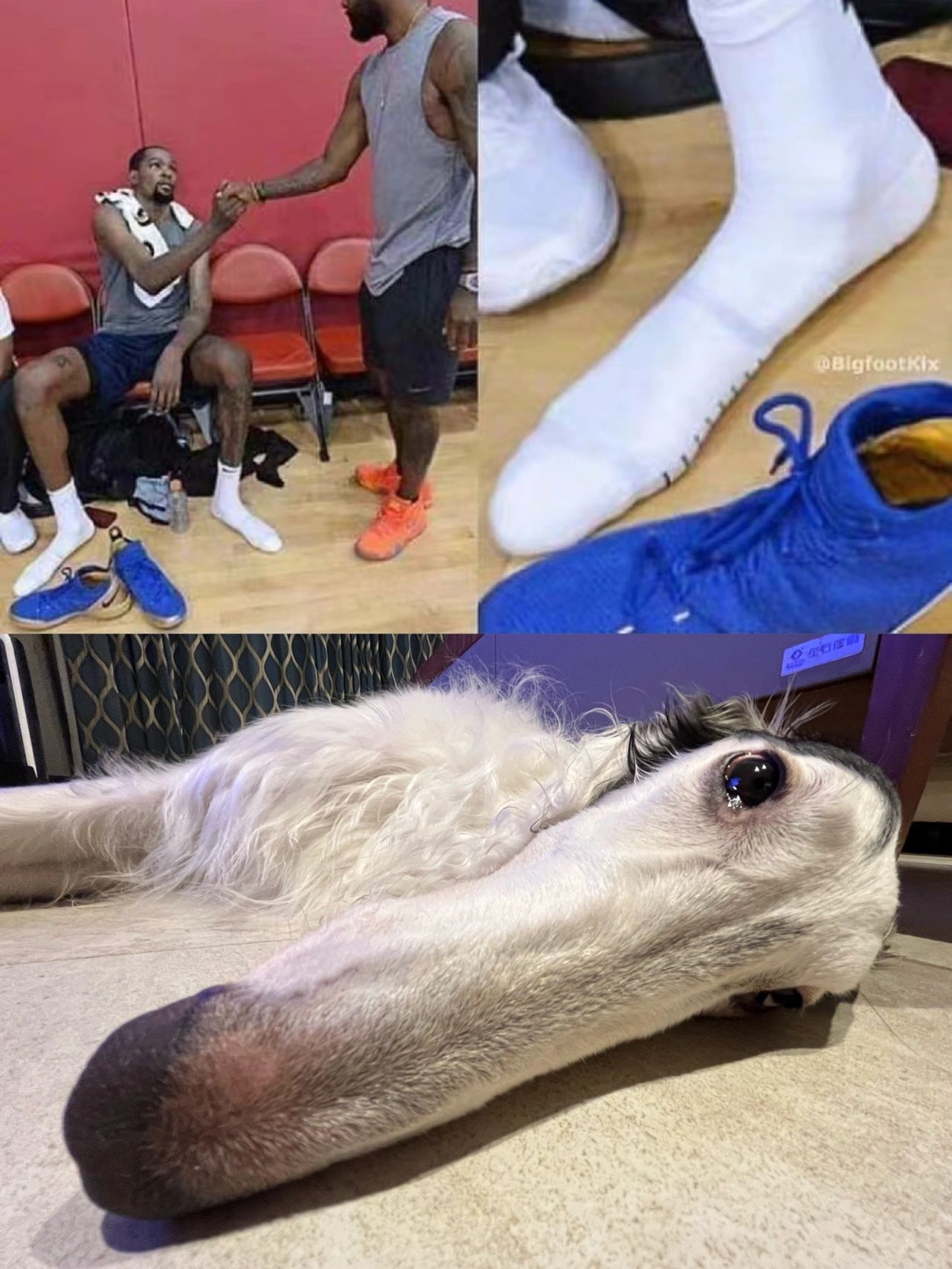 杜兰特的脚杜兰特我真的谢谢你