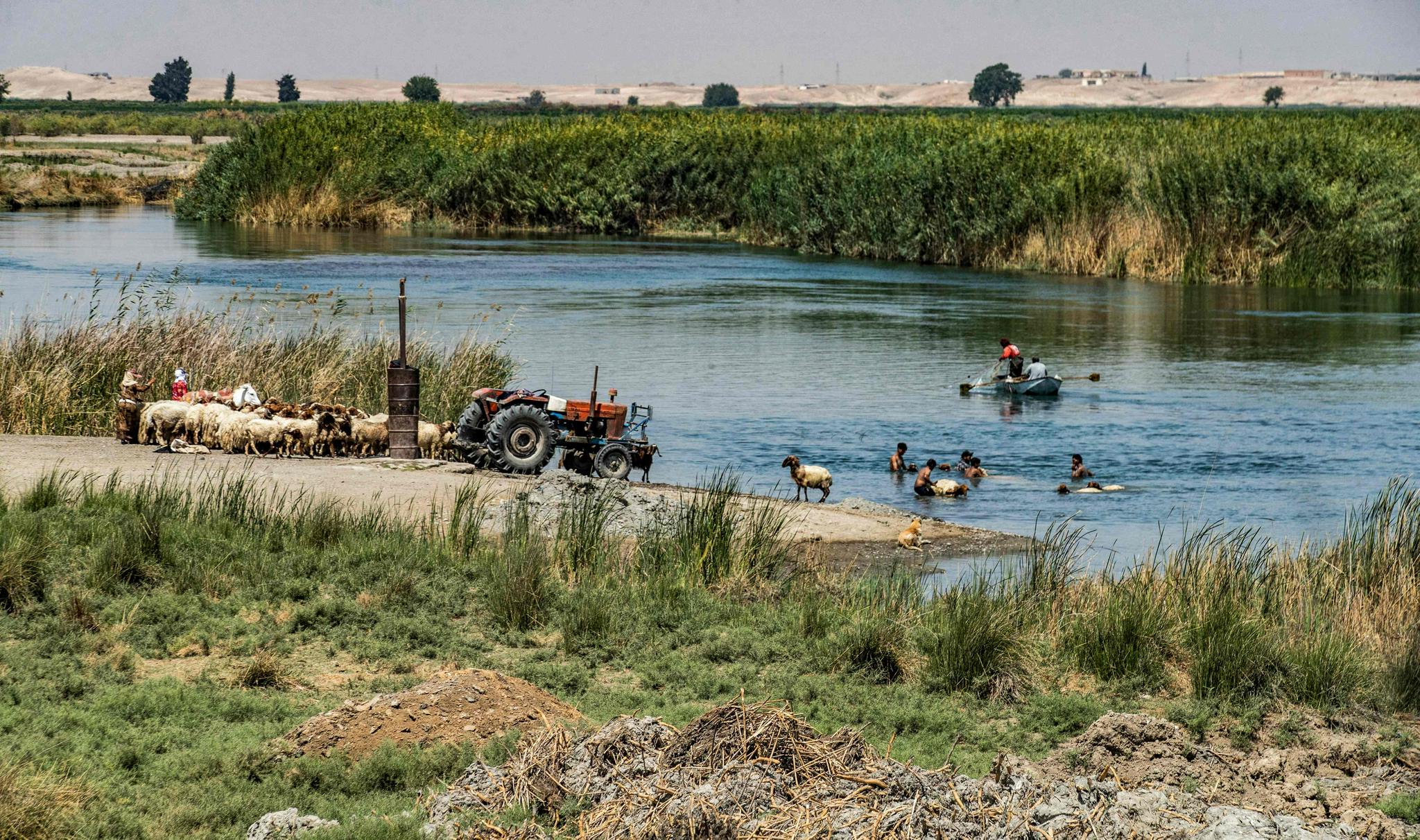 (外代一线)热浪中的叙利亚|牧羊人|幼发拉底河|叙利亚_新浪新闻
