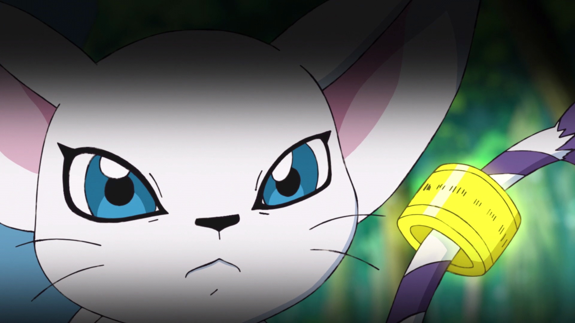 迪路兽一直是小光身边那个敏锐的骑士_高清图集_新浪网