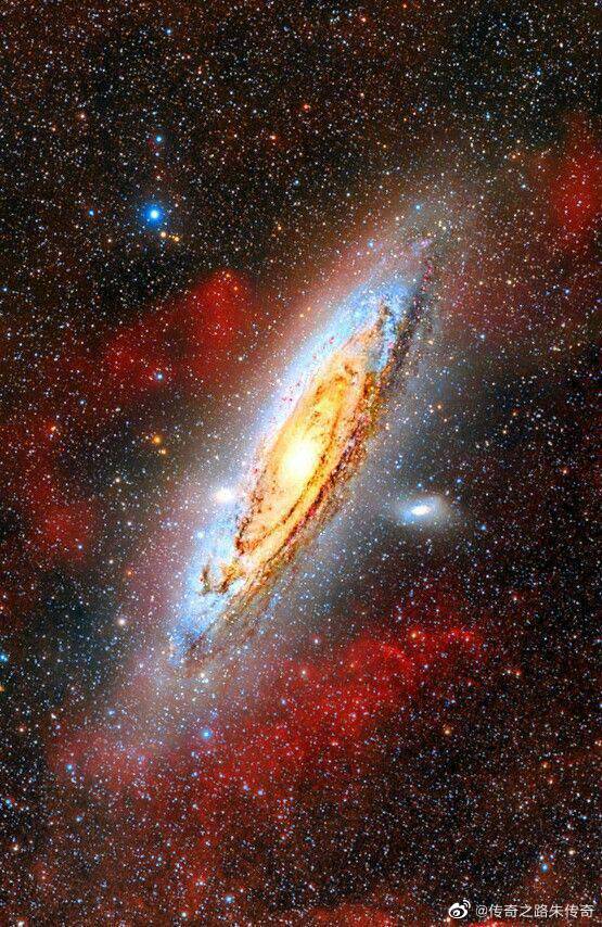 "我们都是宇宙的孩子,与星辰没什么两样"