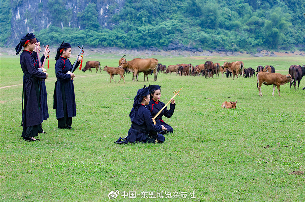 壮乡山寨的天籁之音