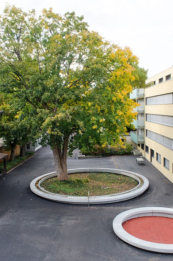 景观树池设计参考_高清图集_新浪网