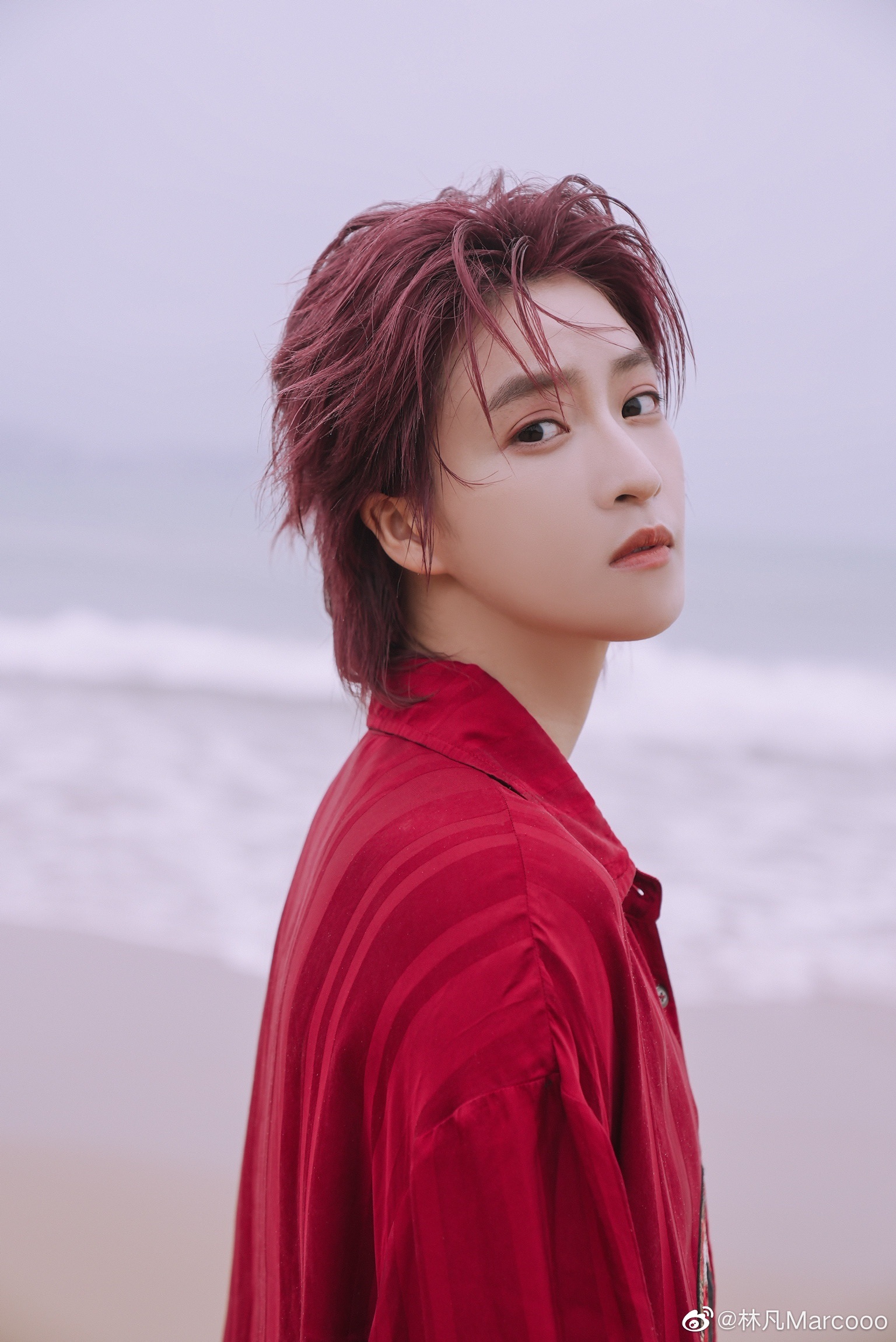 Amber刘逸云、刘雨昕、陆柯燃、杨芸晴、林凡__财经头条