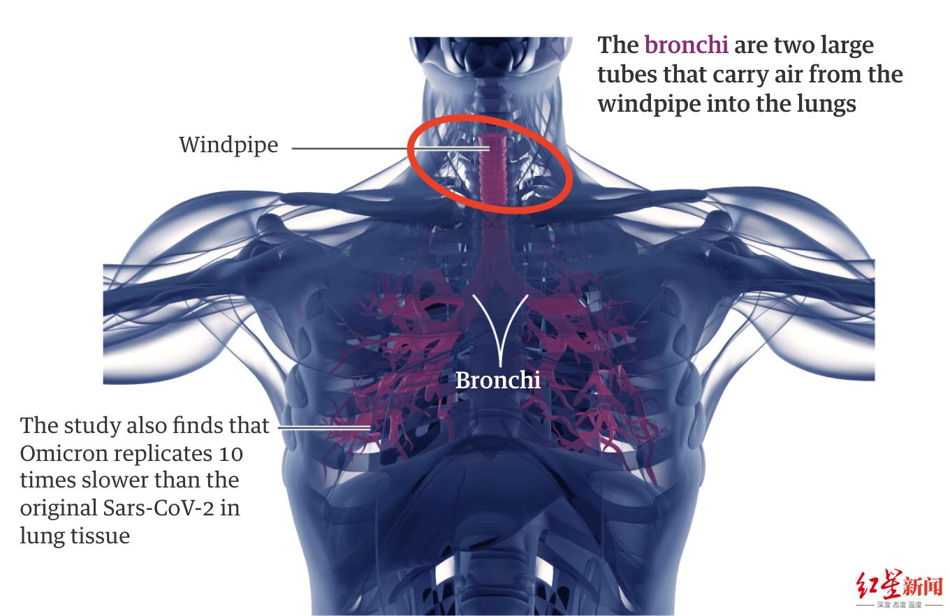 奥密克戎症状更像感冒?英专家:有类似症状50%几率或是新冠,还会恶心呕吐休闲区蓝鸢梦想 - Www.slyday.coM 奥密克戎症状更像感冒?英专家:有类似症状50%几率或是新冠,还会恶心呕吐休闲区蓝鸢梦想 - Www.slyday.coM