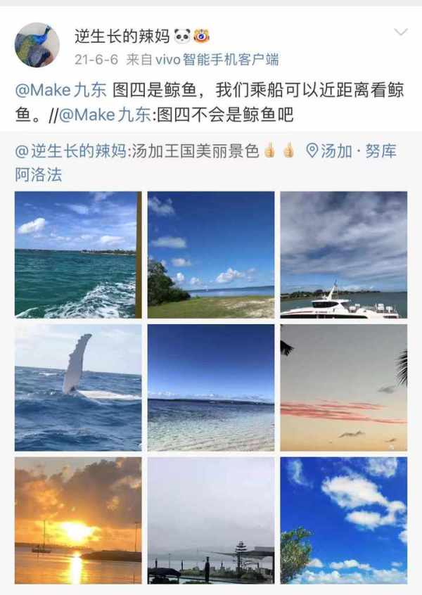 汤加火山爆发，失联三天的中国女子联系家人：一家三口都平安，火山灰飘到家门前休闲区蓝鸢梦想 - Www.slyday.coM