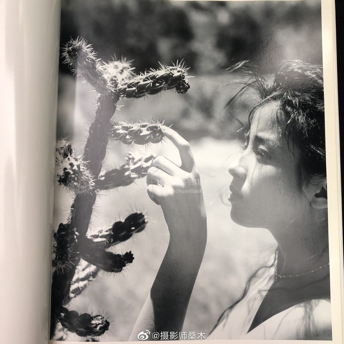 筱山纪信X宫泽理惠写真集