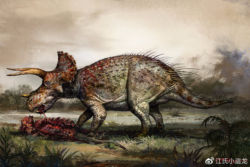 三角龙的这些冷知识,你肯定不知道!