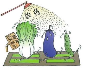 提出的实践路径