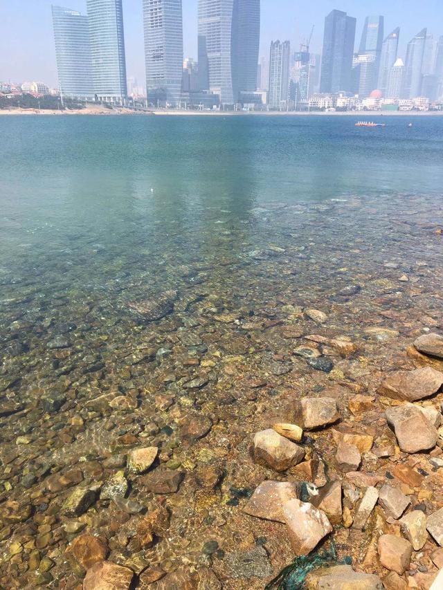 奇观刚封城这座水城便水清见鱼ta们在很多城市街道撒欢