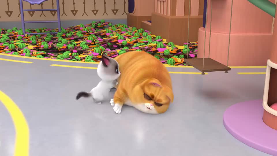 飞狗moco猫咪可是有仇必报的动物