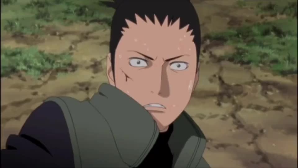 鹿丸和飞段进入小树林做最后的了断