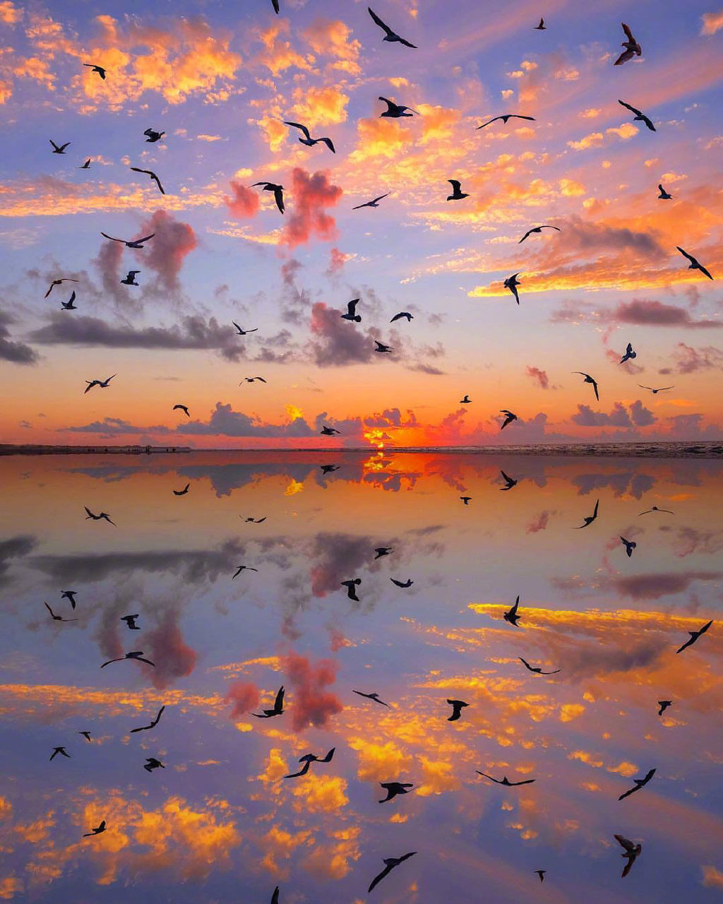 海边落日._高清图集_新浪网