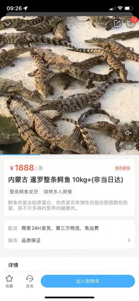 盒马回应所售鳄鱼被砍后复活休闲区蓝鸢梦想 - Www.slyday.coM