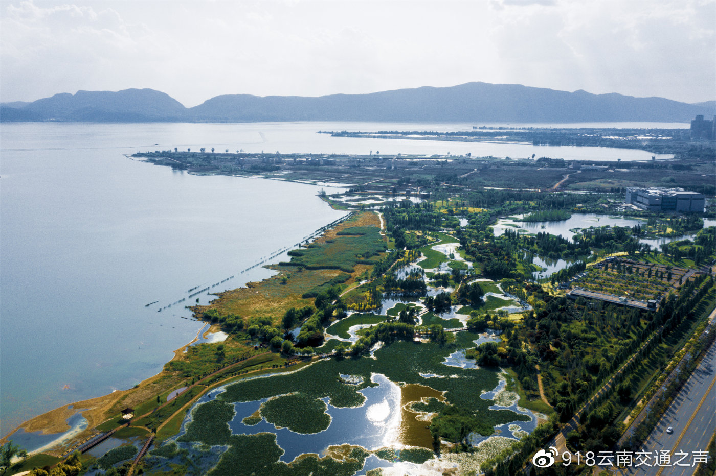 美好之约,如期兑现!生态半岛东海岸公园样板段,盛大开放