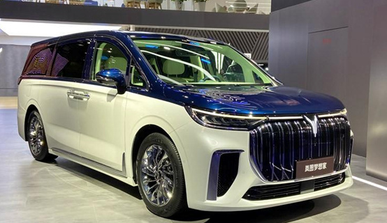 纯电动MPV对决，荣威iMAX8 EV对比岚图梦想家纯电版