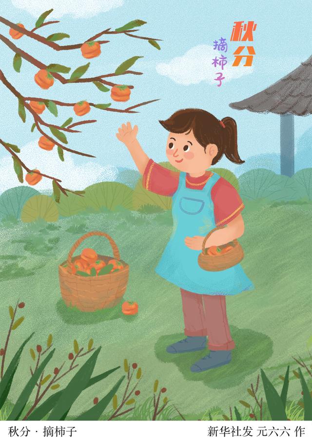 (图表·插画)〔二十四节气·秋分〕秋分·摘柿子|图表|23|秋分_新浪