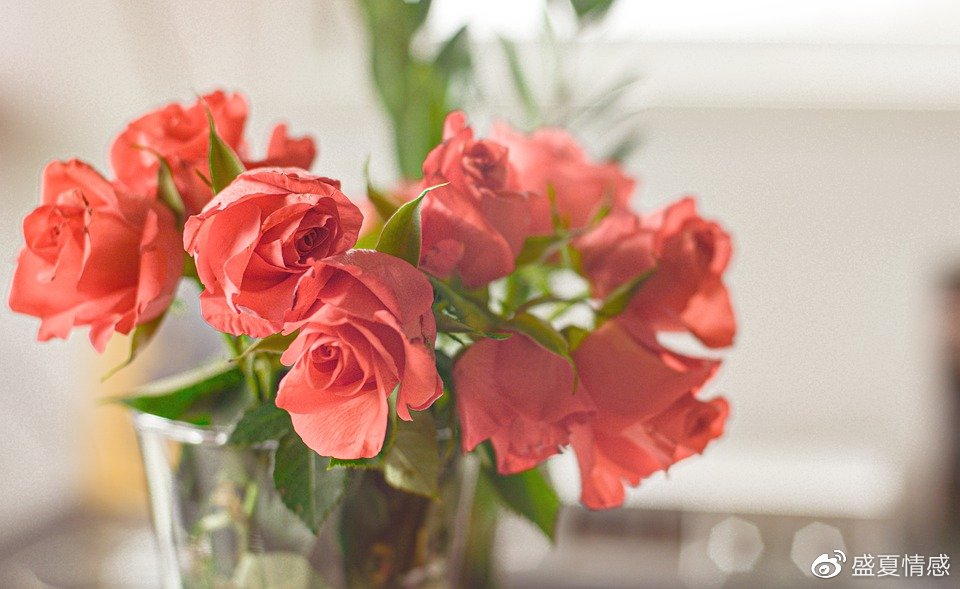 成年人的世界里,只有一件事最重要休闲区蓝鸢梦想 - Www.slyday.coM 成年人的世界里,只有一件事最重要休闲区蓝鸢梦想 - Www.slyday.coM