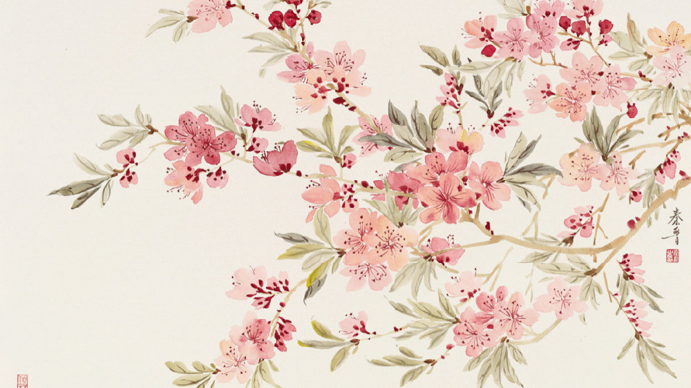 花间空间暗号都有哪些？揭秘那些让人心动的表白和好吃的地方