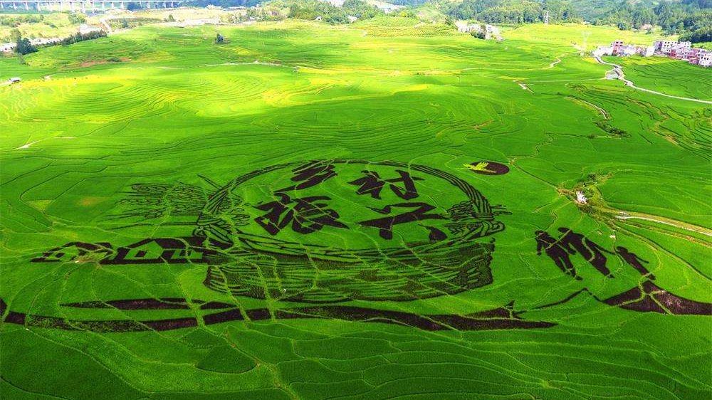 建设高标准农田需要地方政府自己出钱吗