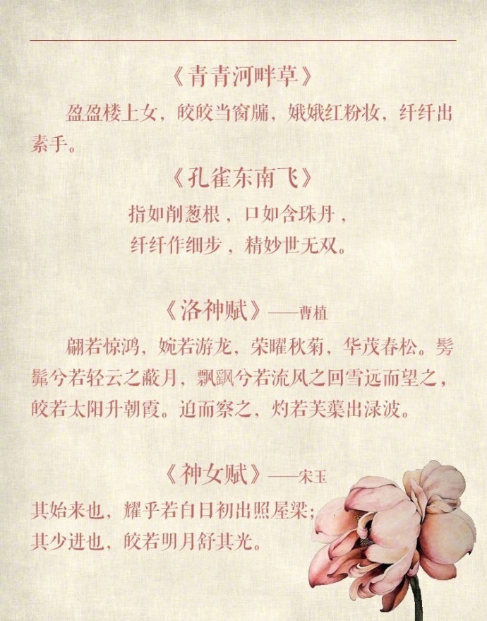 赞美别人的诗句有哪些