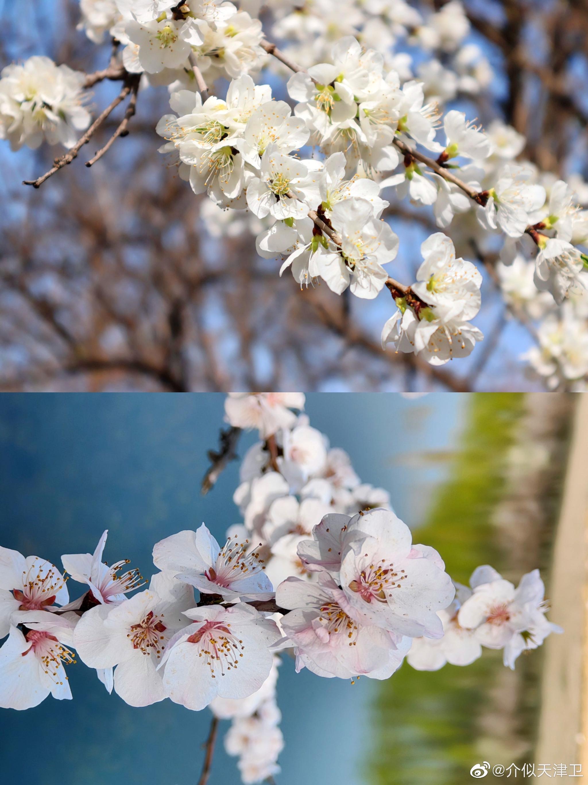 给大家科普一下ouopuppy2023已更新(今日/微博)