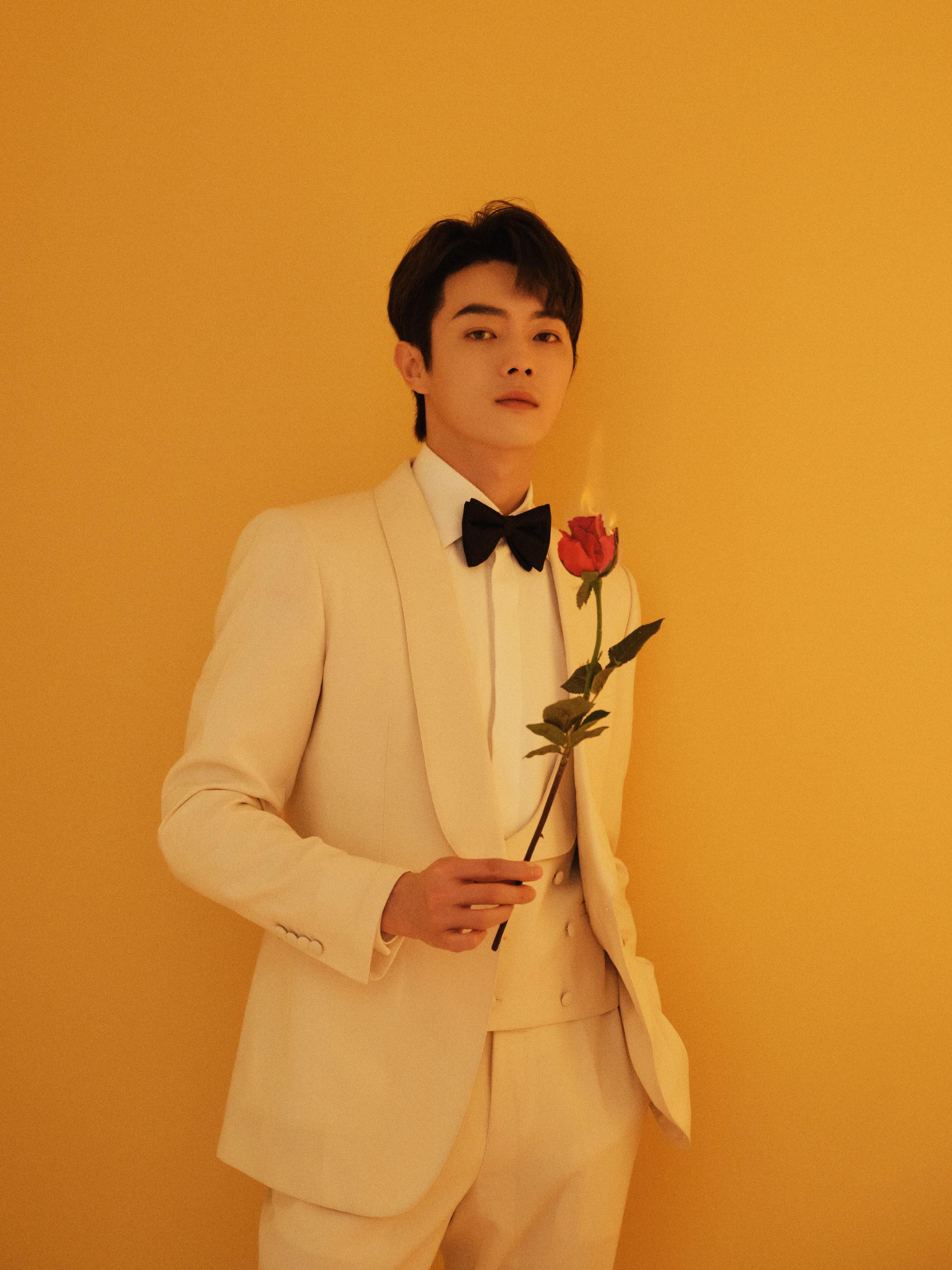 许凯520写真9615白西装 红色玫瑰