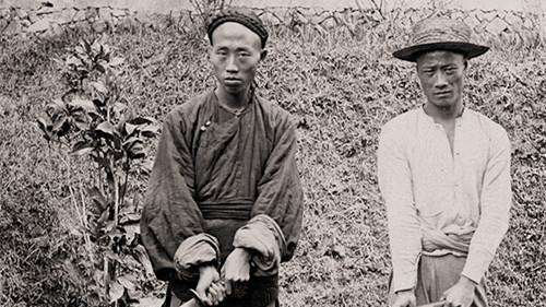 刽子手在古代属于高收入人群,但多数人下场却不好|高收入|刽子手|邓海山_新浪新闻