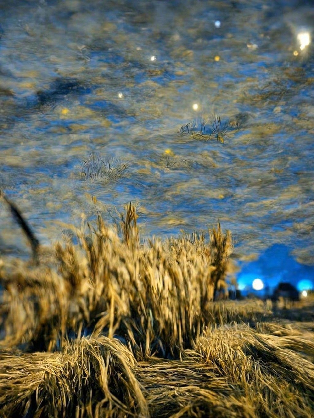一见面就问你谋生方式的人，本质是在计算对你的尊重程度……