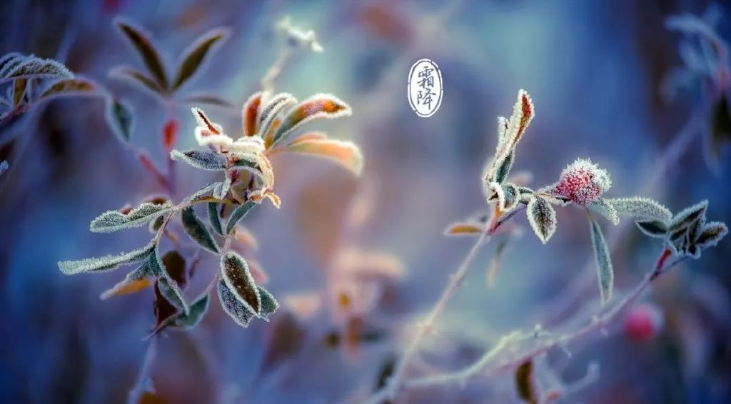 霜降后，是最补的15天，想要补气血，从这2方面入手休闲区蓝鸢梦想 - Www.slyday.coM