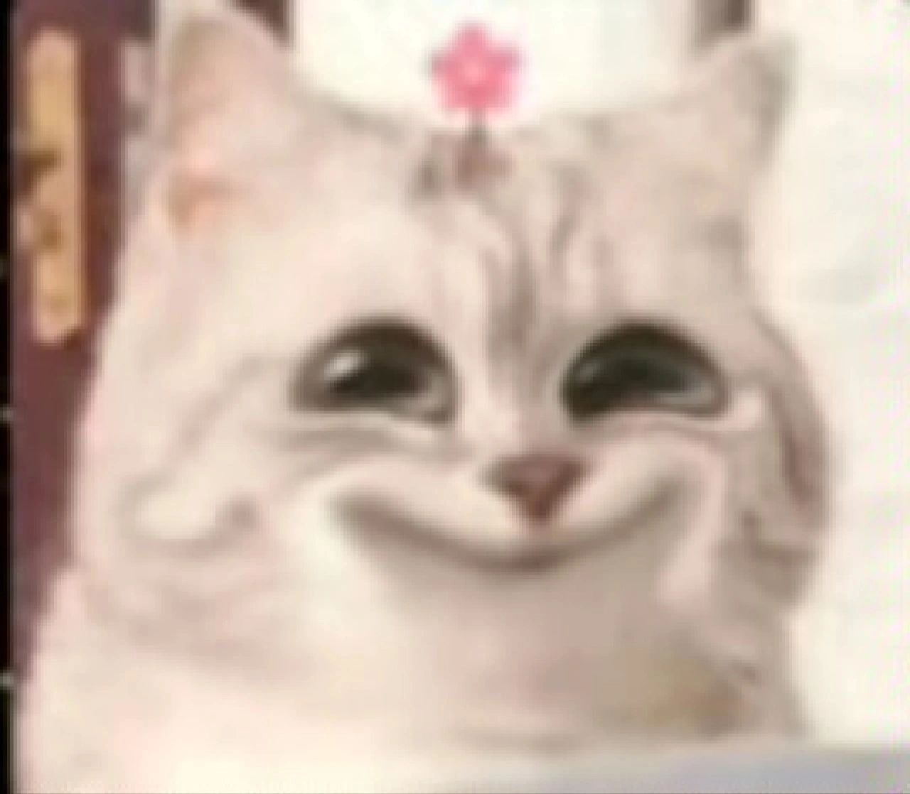 小花猫表情包合集