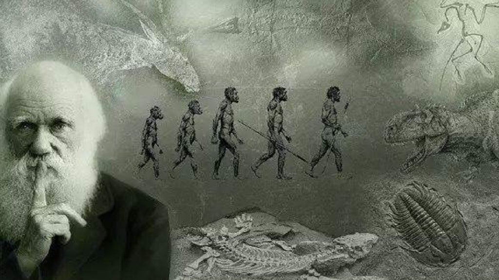 深度长文:人类是猿进化来的,为什么再也没有别的猿进化成人类?|猩猩|进化论|猴子|生物学与医学|祖先_新浪新闻