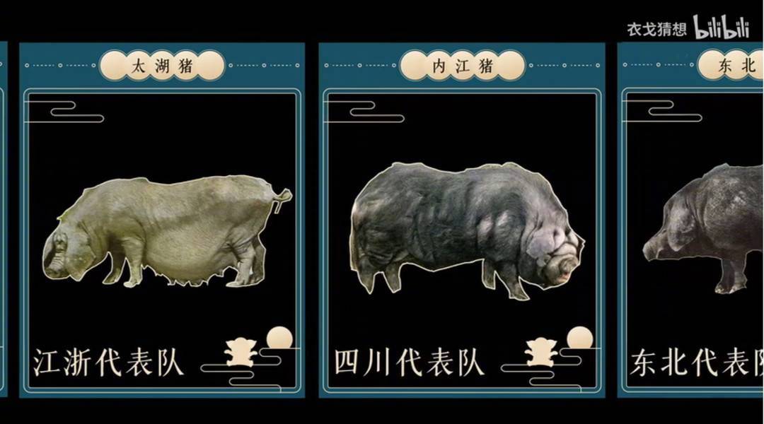 二舅是真的吗?创作者:30年来我只认识这一个二舅休闲区蓝鸢梦想 - Www.slyday.coM 二舅是真的吗?创作者:30年来我只认识这一个二舅休闲区蓝鸢梦想 - Www.slyday.coM