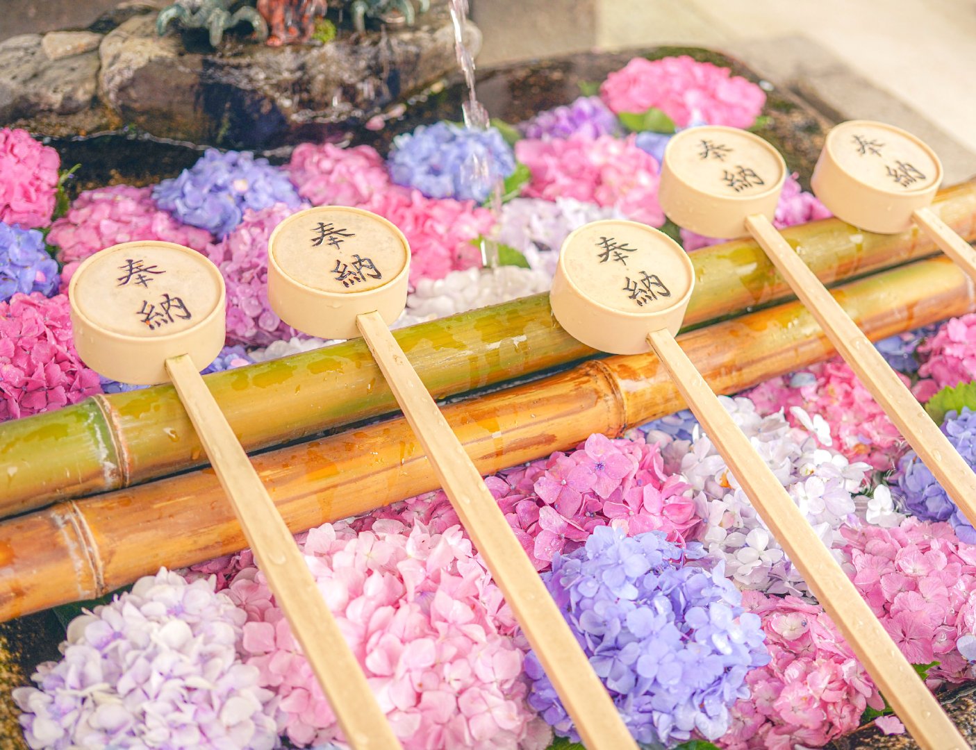 花卉配色参考紫阳花 又名绣球花