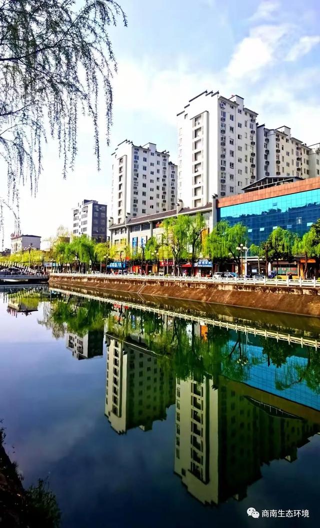 商南:碧水绕城满眼春|商南县|商南|城区_新浪新闻