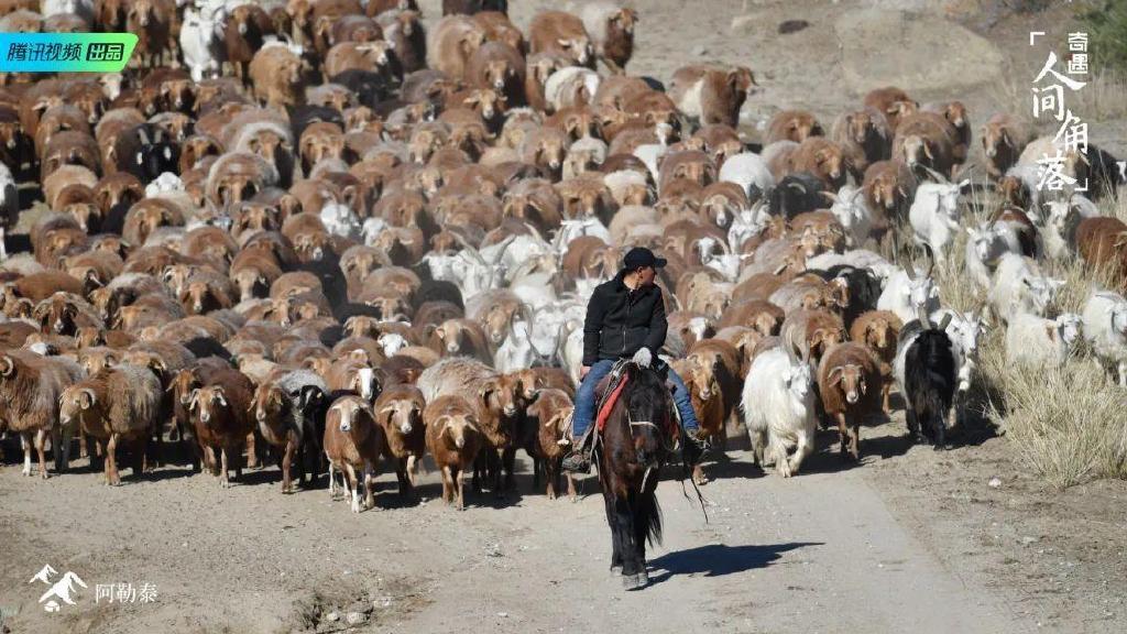 总要在秋天去一次北疆吧！一年仅3周的秋色，惊艳回归休闲区蓝鸢梦想 - Www.slyday.coM