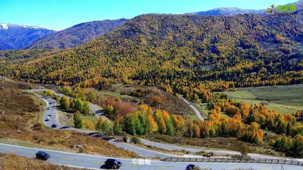 总要在秋天去一次北疆吧!一年仅3周的秋色,惊艳回归休闲区蓝鸢梦想 - Www.slyday.coM 总要在秋天去一次北疆吧!一年仅3周的秋色,惊艳回归休闲区蓝鸢梦想 - Www.slyday.coM