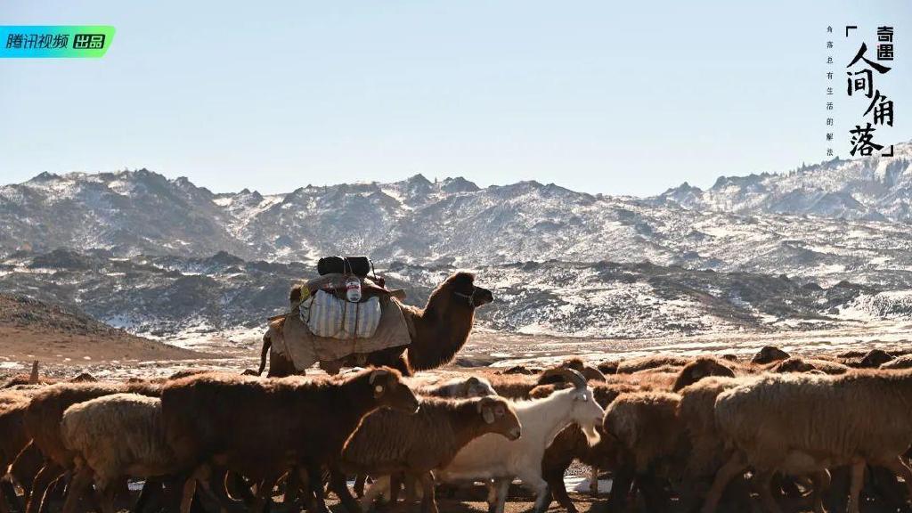 总要在秋天去一次北疆吧!一年仅3周的秋色,惊艳回归休闲区蓝鸢梦想 - Www.slyday.coM 总要在秋天去一次北疆吧!一年仅3周的秋色,惊艳回归休闲区蓝鸢梦想 - Www.slyday.coM