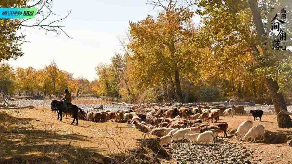 总要在秋天去一次北疆吧!一年仅3周的秋色,惊艳回归休闲区蓝鸢梦想 - Www.slyday.coM 总要在秋天去一次北疆吧!一年仅3周的秋色,惊艳回归休闲区蓝鸢梦想 - Www.slyday.coM