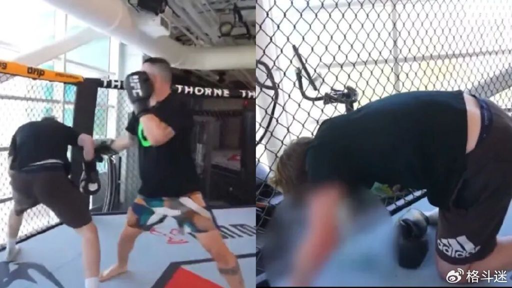 作死网红踢馆UFC训练中心,被打到狂吐不止!_综合体育_新浪竞技风暴_新浪网