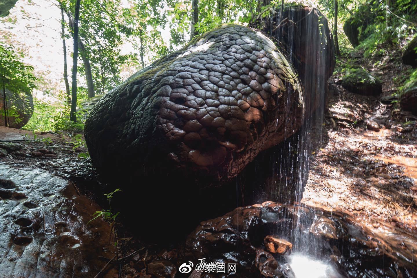 打卡泰国新景点——汶干娜迦洞